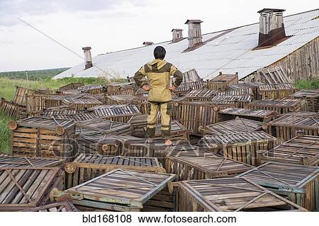 Mari man standing on wooden crates near roof View Large Photo Image Stock Photo - Mari man standing on wooden crates near roof. Fotosearch