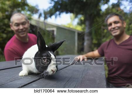 Mixed race men with rabbit on picnic table View Large Photo Image Picture - Mixed race men with rabbit on picnic table. Fotosearch