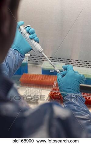 Stock Image - Mixed race scientist pipetting solution into test tubes in lab. Fotosearch