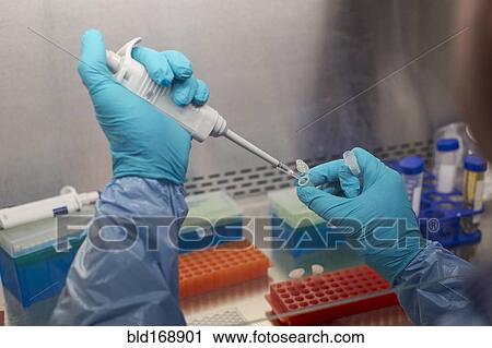 Mixed race scientist pipetting solution into test tubes in lab View Large Photo Image Stock Image - Mixed race scientist pipetting solution into test tubes in lab. Fotosearch