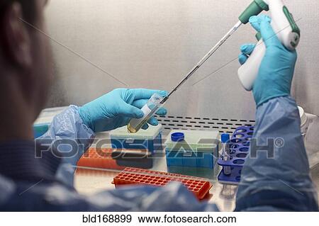 Mixed race scientist pipetting solution into test tubes in lab View Large Photo Image Stock Photo - Mixed race scientist pipetting solution into test tubes in lab. Fotosearch
