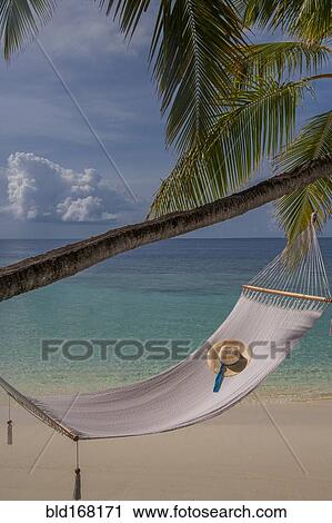 Sun hat in empty hammock on beach View Large Photo Image Stock Image - Sun hat in empty hammock on beach. Fotosearch