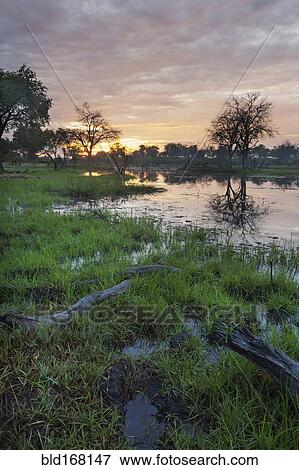 Stock Photo - Sunset reflecting in remote river. Fotosearch
