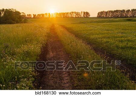 Stock Image - Tire tracks in rural field at sunset. Fotosearch