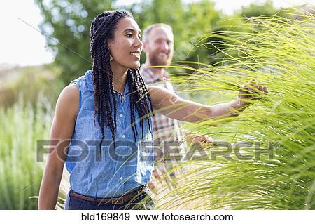 Stock Photo - Woman examining tall plants in garden. Fotosearch
