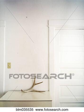 Stock Photography - Antler on counter top. Fotosearch