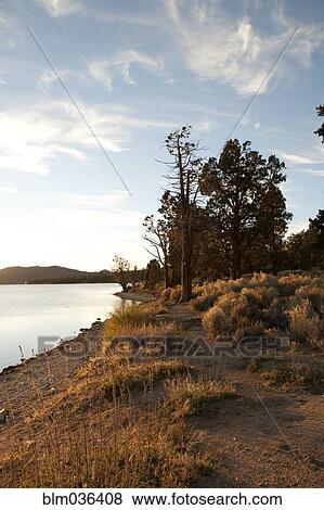 Big Bear Lake under blue sky, Big Bear, California, United States View Large Photo Image Stock Photo - Big Bear Lake under blue sky, Big Bear, California, United States. Fotosearch