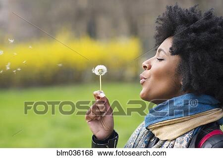 Black woman blowing dandelion seeds in park View Large Photo Image Stock Photo - Black woman blowing dandelion seeds in park. Fotosearch