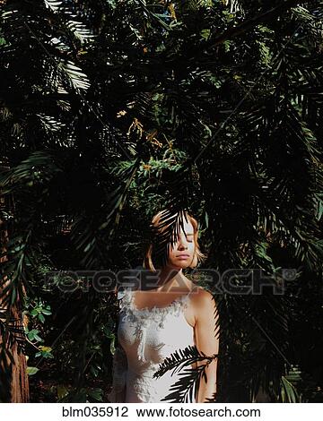 Stock Image - Bride wearing wedding dress under tree branches. Fotosearch