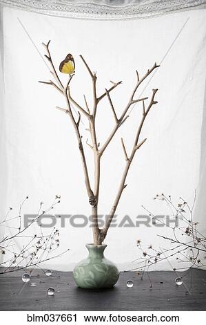 Stock Image - Butterfly perching on branches in ceramic vase. Fotosearch
