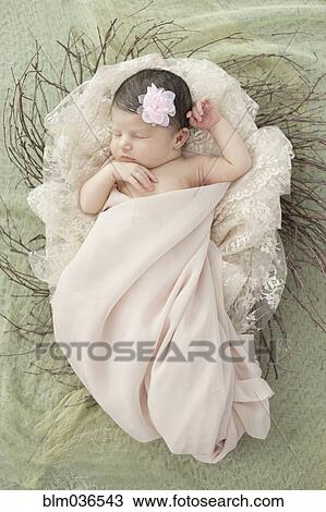 Caucasian baby girl laying in nest View Large Photo Image Stock Image - Caucasian baby girl laying in nest. Fotosearch
