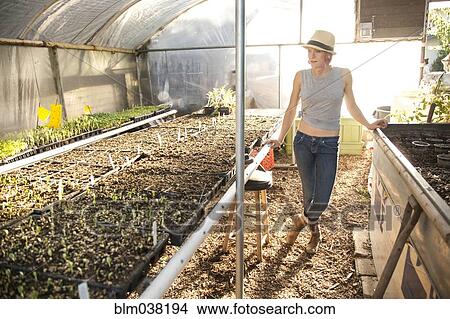 Picture - Caucasian farmer admiring plants in greenhouse. Fotosearch