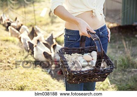 Stock Photo - Caucasian farmer gathering chicken eggs on farm. Fotosearch