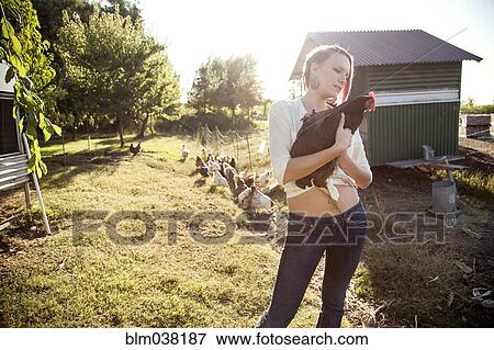 Caucasian farmer holding chicken by hen house View Large Photo Image Stock Photo - Caucasian farmer holding chicken by hen house. Fotosearch