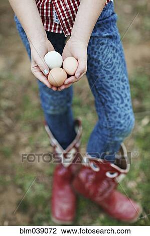 Caucasian girl holding chicken eggs on farm View Large Photo Image Stock Image - Caucasian girl holding chicken eggs on farm. Fotosearch