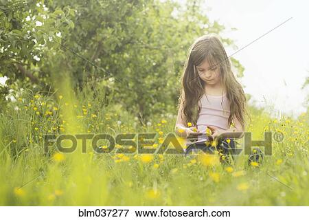 Caucasian girl picking flowers in rural field View Large Photo Image Stock Photo - Caucasian girl picking flowers in rural field. Fotosearch
