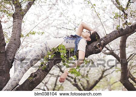 Picture - Caucasian woman laying in tree. Fotosearch
