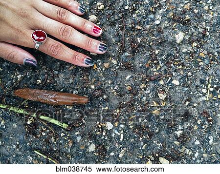 Stock Photography - Caucasian woman touching concrete near slug. Fotosearch