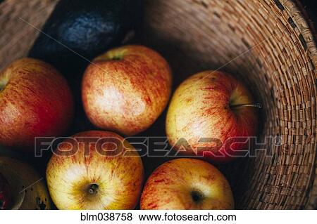 Close up of basket of fresh apples View Large Photo Image Stock Photo - Close up of basket of fresh apples. Fotosearch