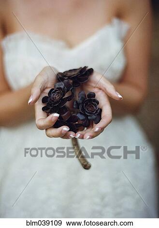 Close up of bride holding flowers View Large Photo Image Stock Photo - Close up of bride holding flowers. Fotosearch