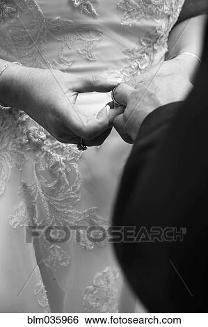 Stock Photograph - Close up of bride putting wedding ring on finger of groom. Fotosearch