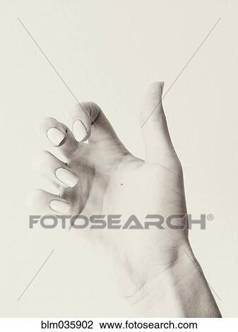 Close up of curled fingers on hand of woman View Large Photo Image Stock Image - Close up of curled fingers on hand of woman. Fotosearch