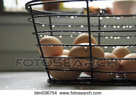 Picture - Close up of eggs in wet basket. Fotosearch
