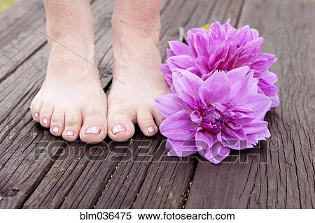 Stock Photography - Close up of feet of mixed race woman and dahlia flowers. Fotosearch