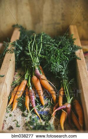 Stock Photo - Close up of fresh carrots. Fotosearch