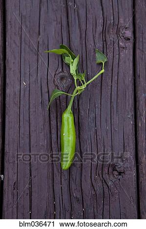 Stock Image - Close up of fresh chili pepper on board. Fotosearch