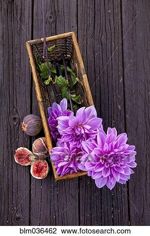 Stock Image - Close up of fresh figs and dahlia flowers. Fotosearch