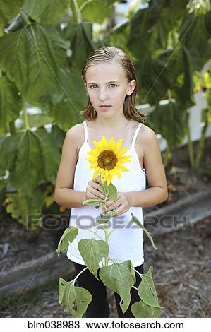 Close up of girl holding sunflower in garden View Large Photo Image Stock Image - Close up of girl holding sunflower in garden. Fotosearch