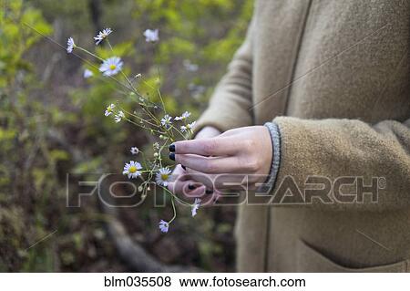 Stock Photo - Close up of hands of woman holding flowers. Fotosearch