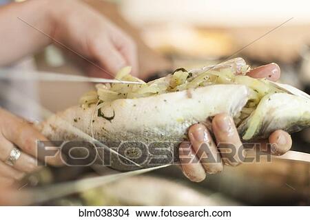 Picture - Close up of people tying stuffed fish with string. Fotosearch