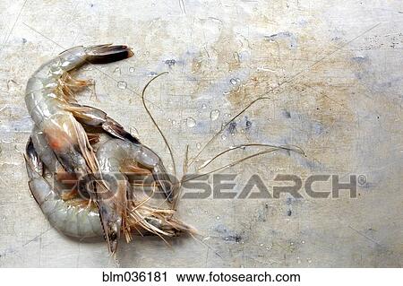 Close up of raw shrimp View Large Photo Image Stock Image - Close up of raw shrimp. Fotosearch