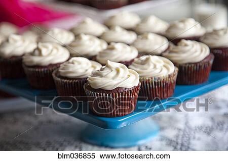 Close up of tray of cupcakes View Large Photo Image Stock Photography - Close up of tray of cupcakes. Fotosearch