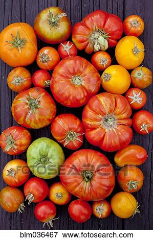Stock Photo - Close up of variety of fresh tomatoes on board. Fotosearch