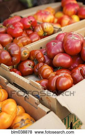Stock Photo - Crates of varieties of fresh tomatoes. Fotosearch