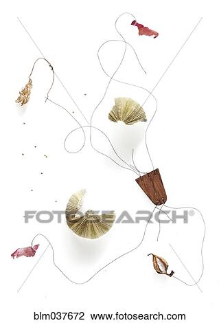Stock Image - Dry branch with flowers and leaves. Fotosearch