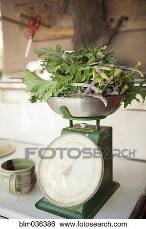 Fresh greens weighing on scale View Large Photo Image Stock Photograph - Fresh greens weighing on scale. Fotosearch