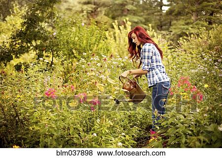 Stock Photo - Gardener watering plants in backyard. Fotosearch