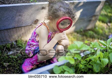 Stock Image - Girl examining garden plants with magnifying glass. Fotosearch