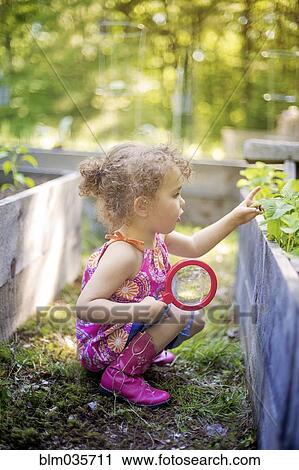 Girl examining garden plants with magnifying glass View Large Photo Image Stock Image - Girl examining garden plants with magnifying glass. Fotosearch