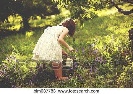 Stock Image - Girl picking flowers in rural field. Fotosearch