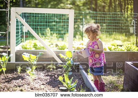 Girl watering plants in garden View Large Photo Image Stock Photo - Girl watering plants in garden. Fotosearch