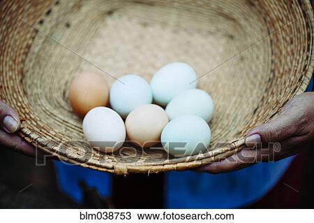Hispanic farmer holding basket of fresh eggs View Large Photo Image Stock Image - Hispanic farmer holding basket of fresh eggs. Fotosearch