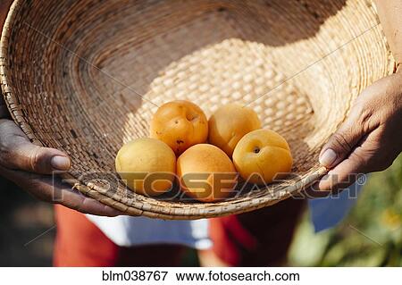 Stock Photo - Hispanic woman holding basket of fresh fruit. Fotosearch