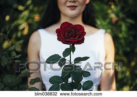 Stock Image - Korean bride smiling behind red rose. Fotosearch