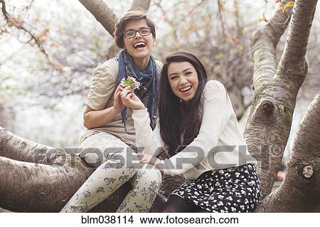 Picture - Laughing friends sitting in tree. Fotosearch