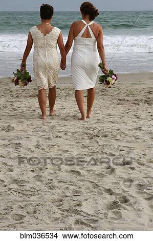 Lesbian brides holding hands on beach View Large Photo Image Picture - Lesbian brides holding hands on beach. Fotosearch